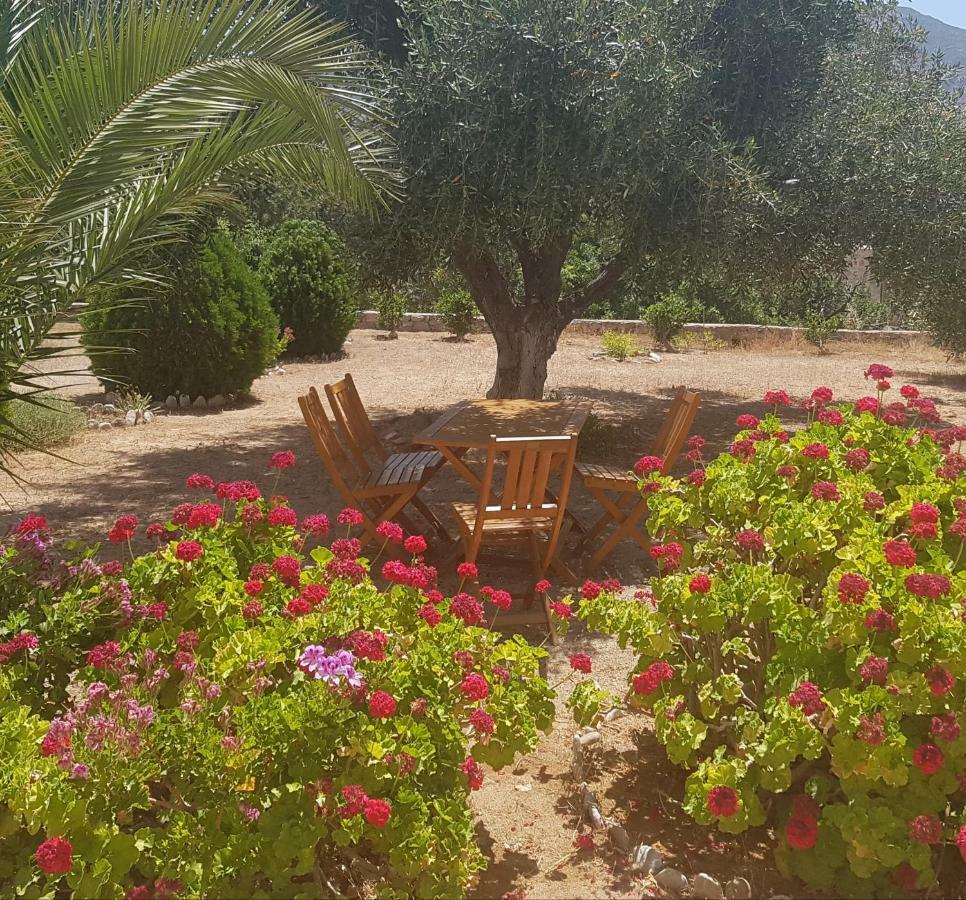 Tilos Fantasy Livadia  Exterior foto